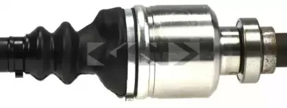 lobro-304686
