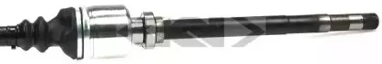lobro-304686