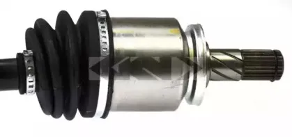 lobro-301374
