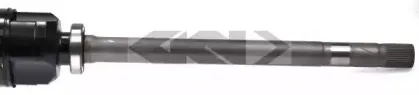 lobro-304713