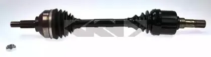 lobro-304782
