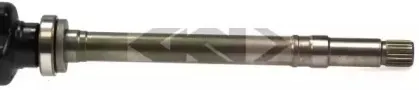 lobro-304790