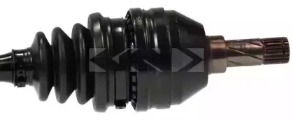 lobro-304906