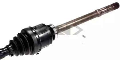 lobro-304910