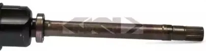 lobro-304918