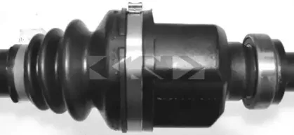 lobro-304942