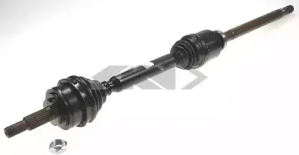 lobro-305032