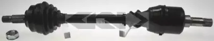 lobro-305065
