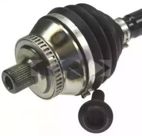lobro-305079