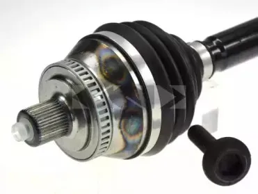 lobro-305085