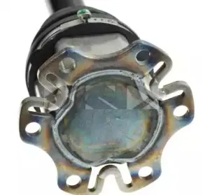 lobro-305085