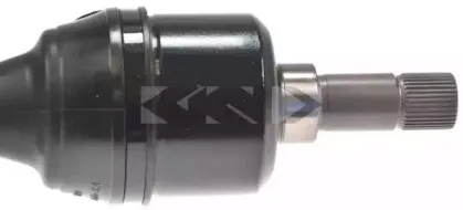 lobro-305096