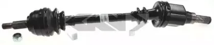 lobro-305197