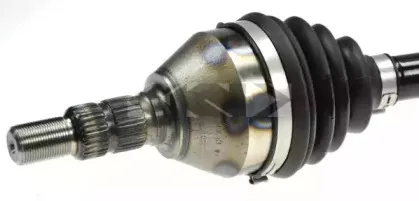 lobro-305203