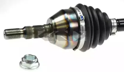 lobro-305205
