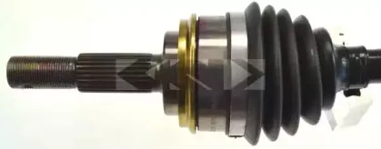 lobro-305327