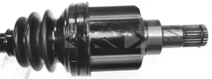 lobro-305327