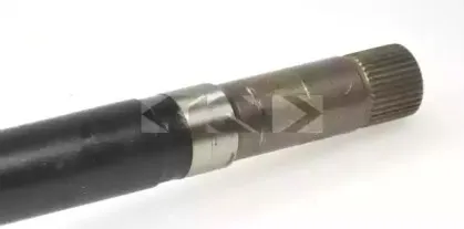lobro-305343