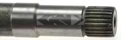 lobro-305406