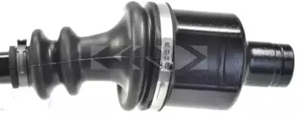 lobro-305503