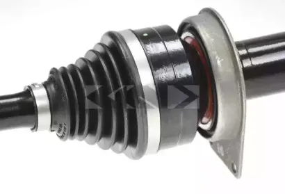 lobro-305504