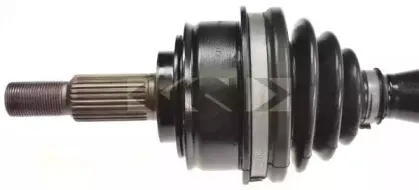 lobro-305506
