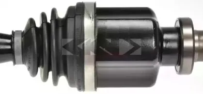 lobro-305506