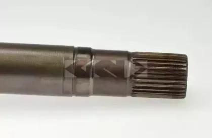 lobro-305575