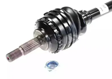 lobro-305603