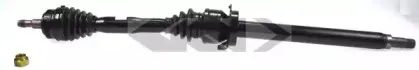 lobro-305658