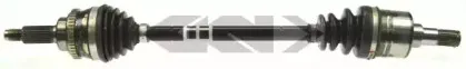 lobro-305760