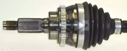 lobro-305760