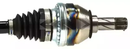 lobro-305788