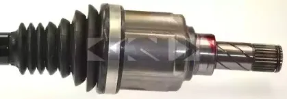 lobro-305836