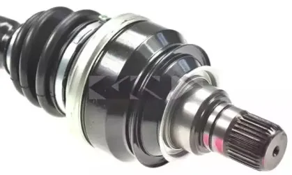 lobro-305994