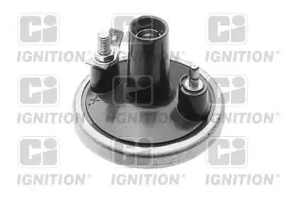 quintonhazell-xic8049