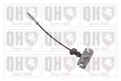 quintonhazell-bc3261