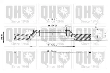 quintonhazell-bdc3598