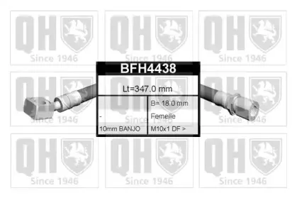 quintonhazell-bfh4438