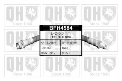 BFH4584 QUINTON HAZELL