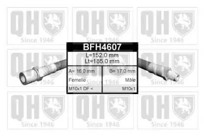 quintonhazell-bfh4607