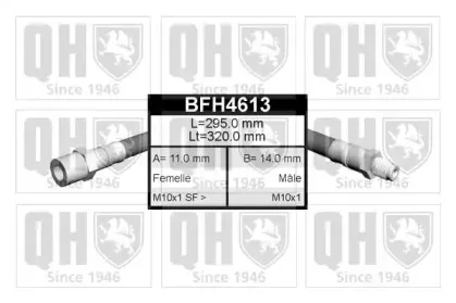 quintonhazell-bfh4613