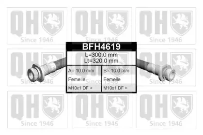 BFH4619 QUINTON HAZELL