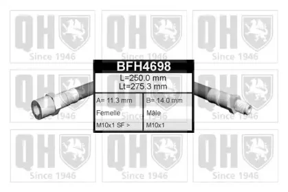 BFH4698 QUINTON HAZELL