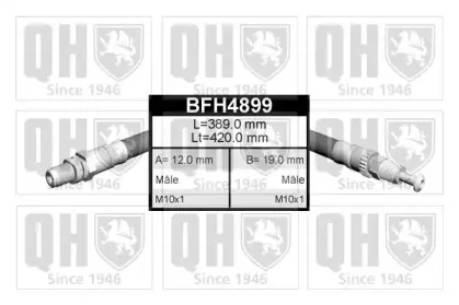 BFH4899 QUINTON HAZELL
