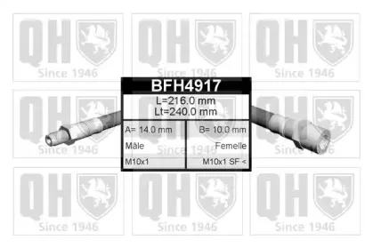 BFH4917 QUINTON HAZELL