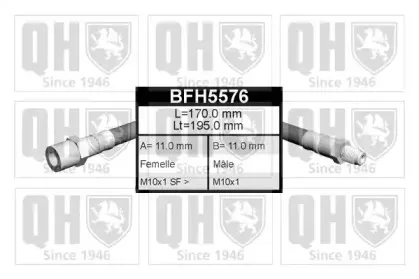 BFH5576 QUINTON HAZELL