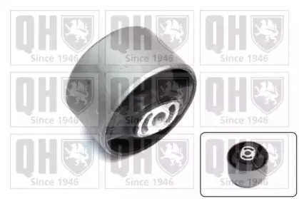 EM2587 QUINTON HAZELL Подвеска, двигатель