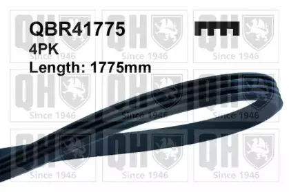 QBR41775 QUINTON HAZELL Поликлиновой ремень