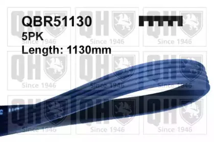 quintonhazell-qbr51130